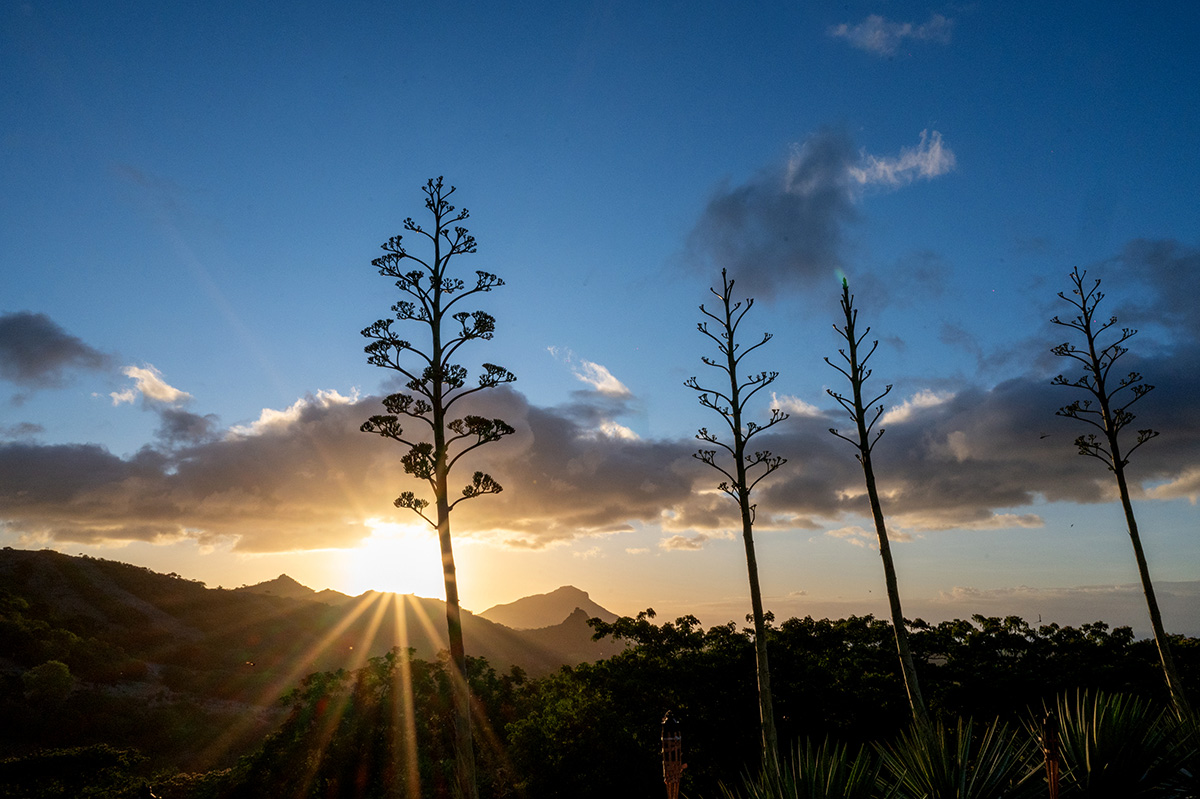 Event photography Mauritius