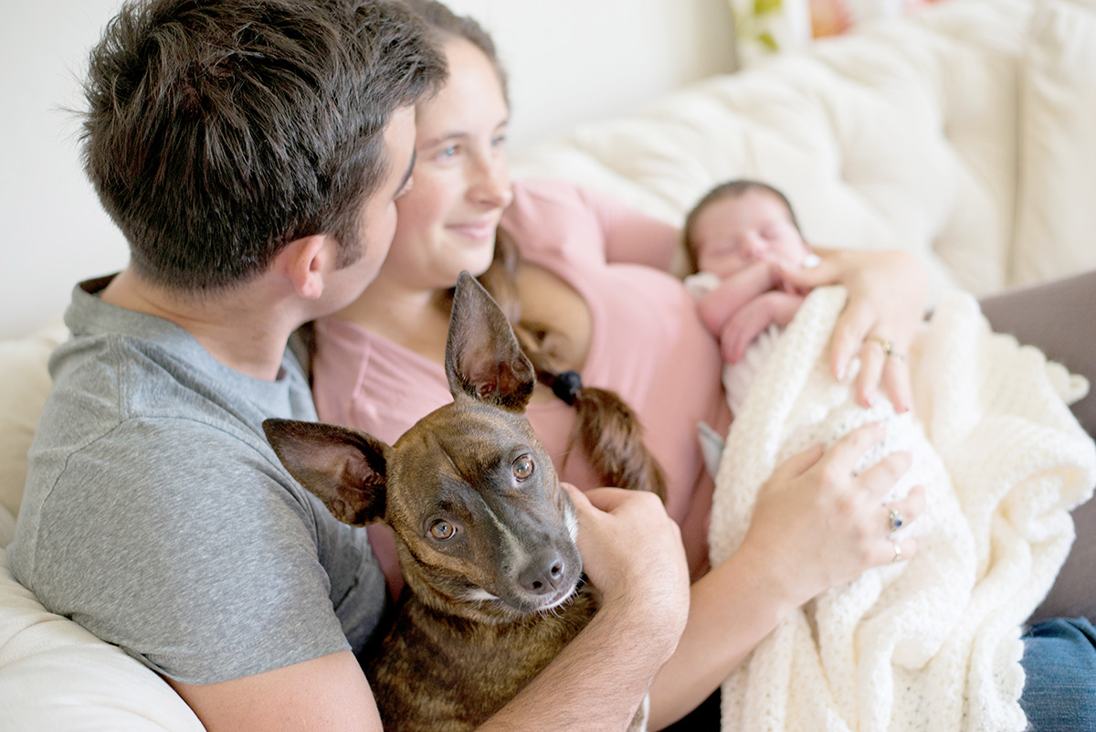 Maternity photography Mauritius beach